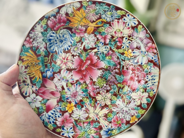 古玩陶瓷粉彩花卉紋盤真品鑒賞圖