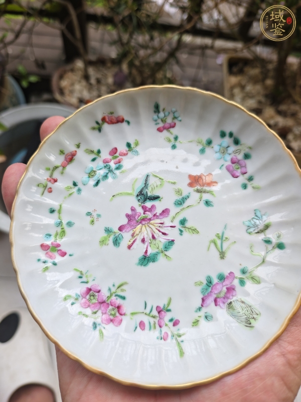 古玩陶瓷同治細路粉彩菊瓣盤真品鑒賞圖