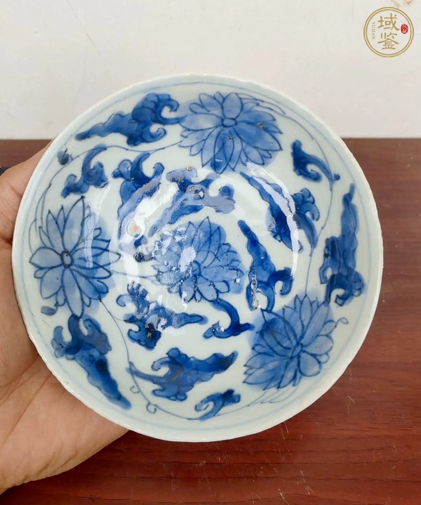 古玩陶瓷康熙青花纏枝蓮紋盤真品鑒賞圖