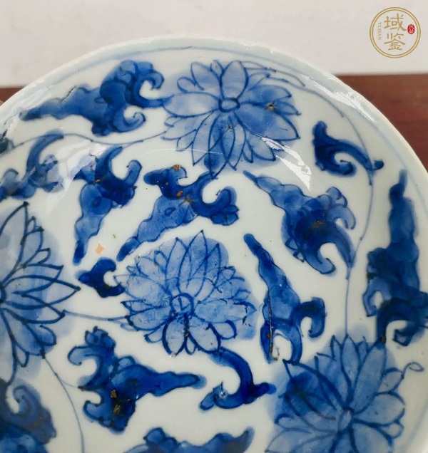 古玩陶瓷康熙青花纏枝蓮紋盤真品鑒賞圖