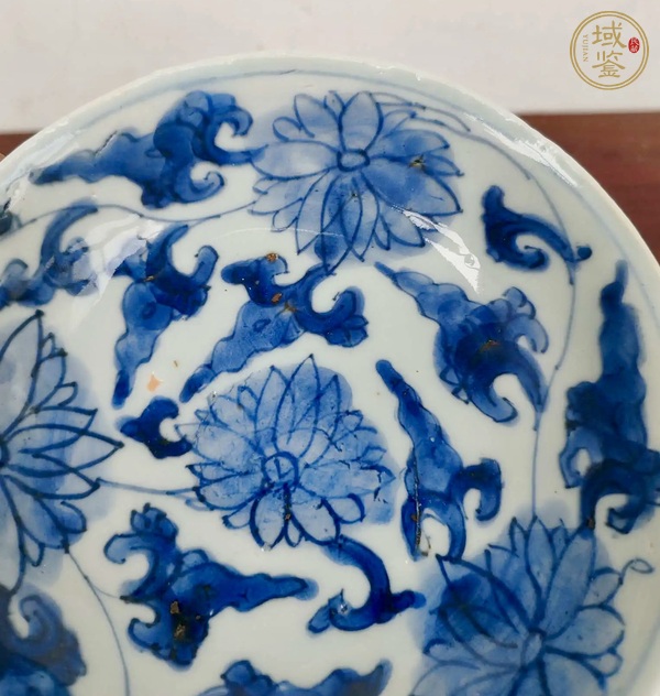 古玩陶瓷康熙青花纏枝蓮紋盤真品鑒賞圖