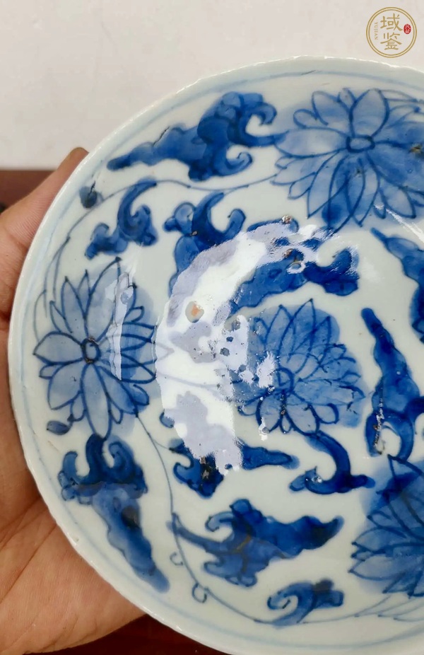 古玩陶瓷康熙青花纏枝蓮紋盤真品鑒賞圖