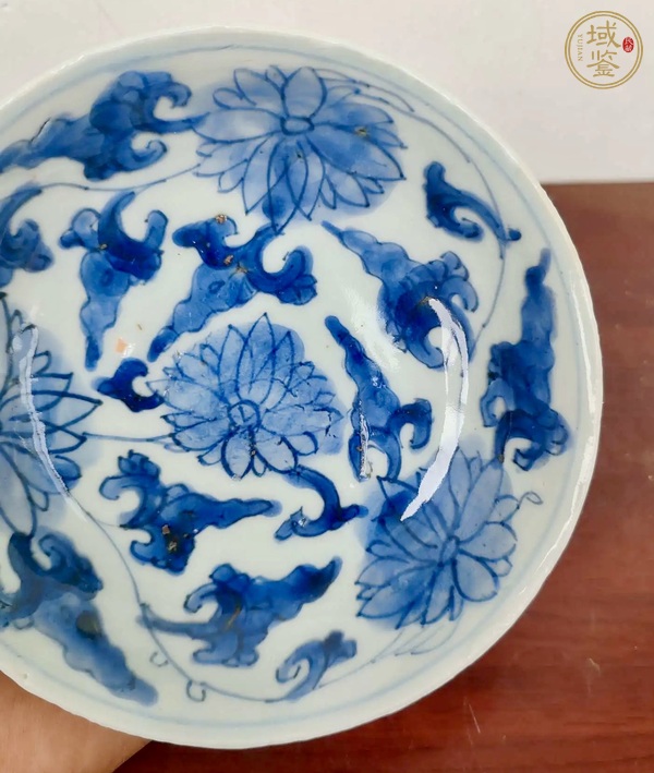 古玩陶瓷康熙青花纏枝蓮紋盤真品鑒賞圖