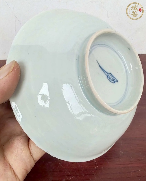 古玩陶瓷康熙青花纏枝蓮紋盤真品鑒賞圖