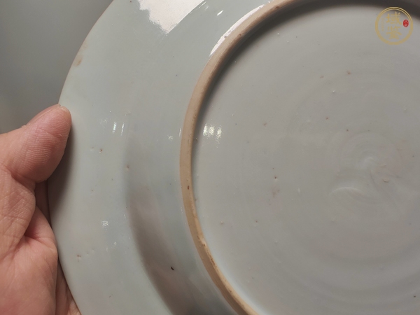 古玩陶瓷青花礬紅盤真品鑒賞圖