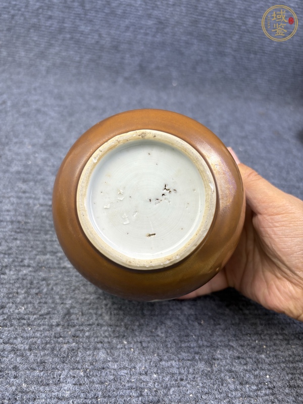 古玩陶瓷紫金釉開(kāi)窗粉彩花卉紋缸真品鑒賞圖