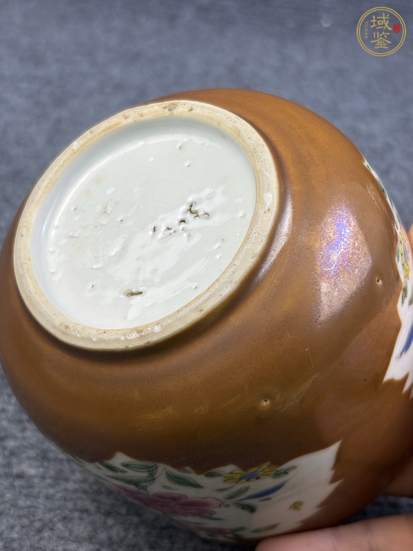 古玩陶瓷紫金釉開(kāi)窗粉彩花卉紋缸真品鑒賞圖