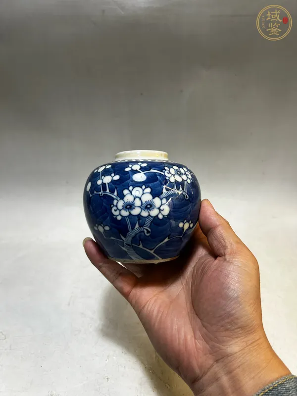 古玩陶瓷青花留白梅紋罐真品鑒賞圖
