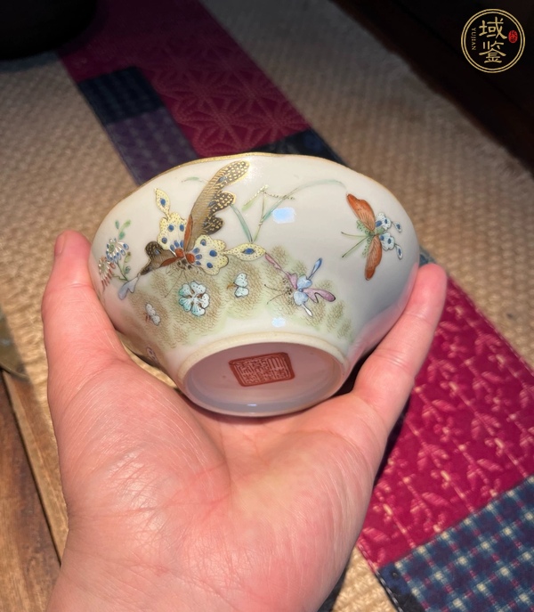 古玩陶瓷粉彩蝴蝶紋馬蹄茶碗真品鑒賞圖