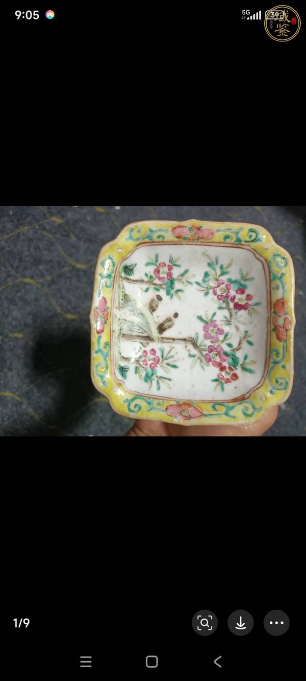 古玩陶瓷粉彩盤真品鑒賞圖