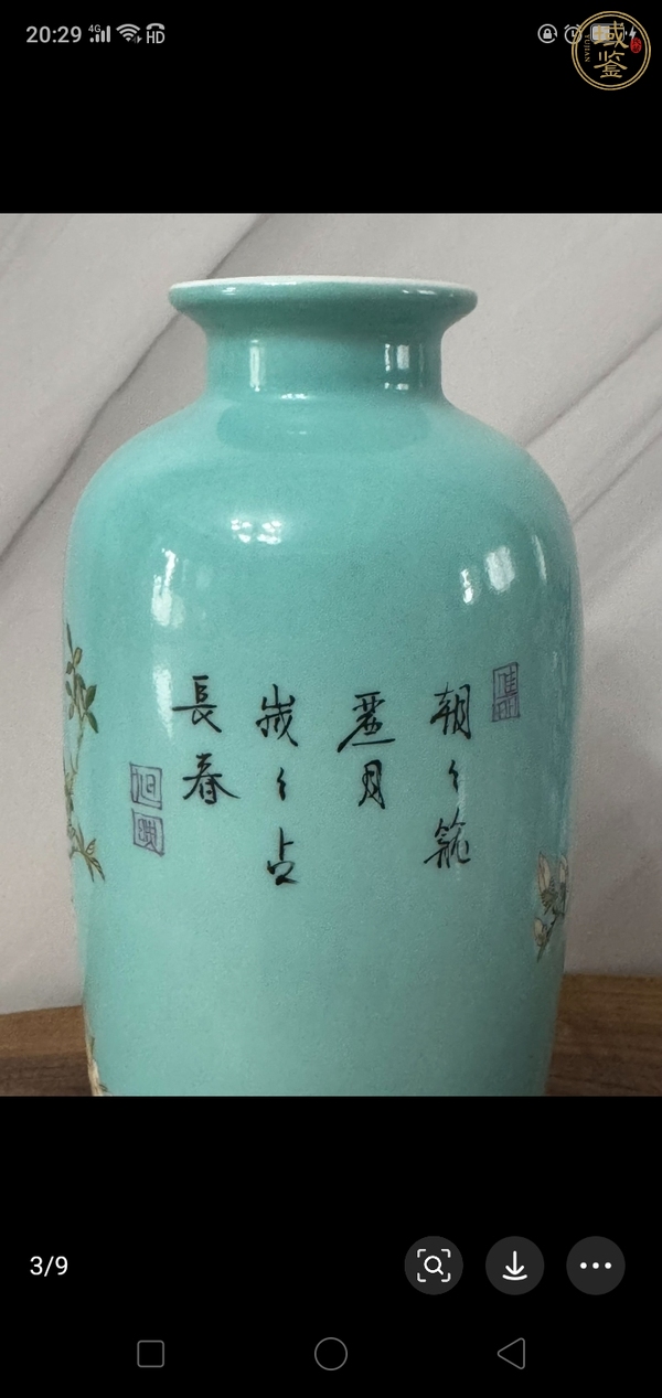 古玩陶瓷松石綠釉粉彩花鳥紋燈籠瓶真品鑒賞圖