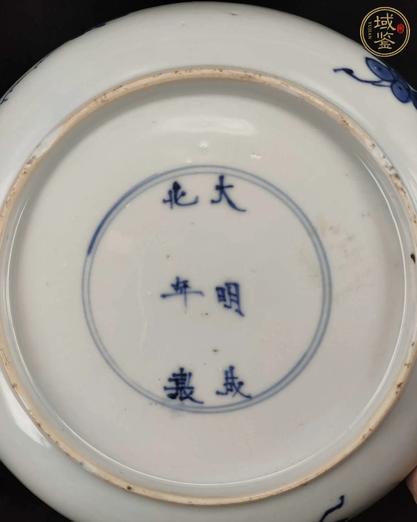 古玩陶瓷青花纏枝花卉紋盤真品鑒賞圖