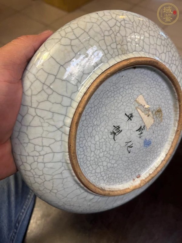 古玩陶瓷哥釉青花釉里紅魚藻紋洗真品鑒賞圖
