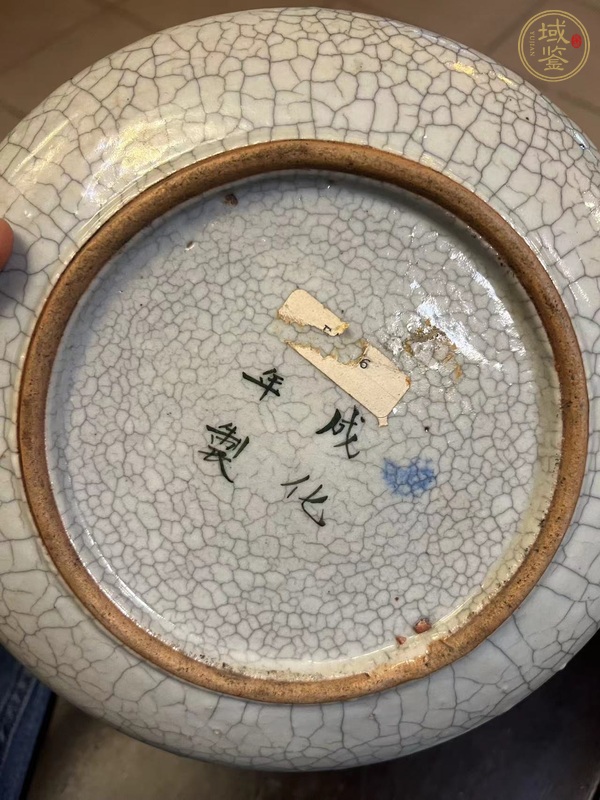 古玩陶瓷哥釉青花釉里紅魚藻紋洗真品鑒賞圖