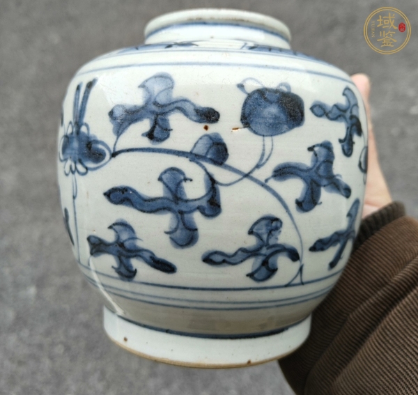 古玩陶瓷青花纏枝花卉罐真品鑒賞圖