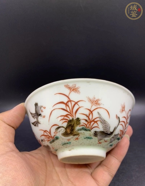 古玩陶瓷蘆雁紋茶圓真品鑒賞圖