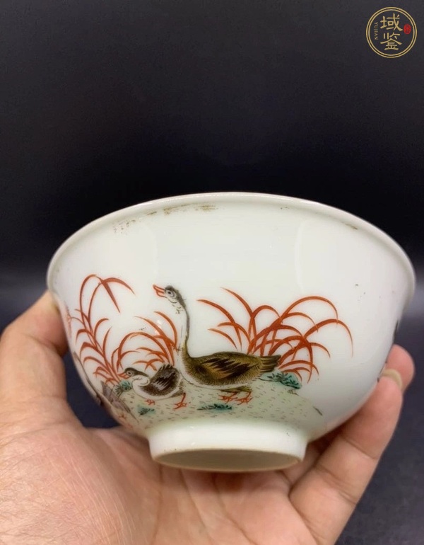 古玩陶瓷蘆雁紋茶圓真品鑒賞圖