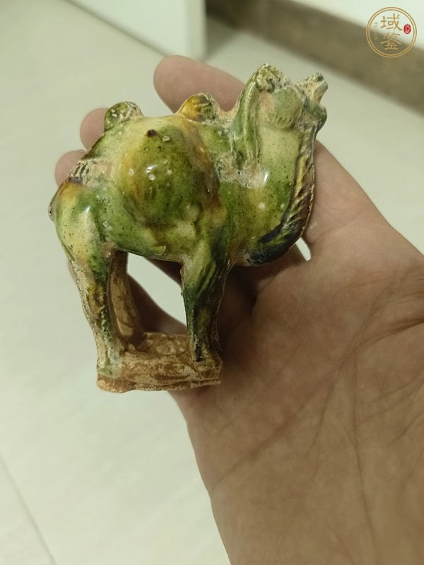 古玩陶瓷三彩駱駝?wù)嫫疯b賞圖