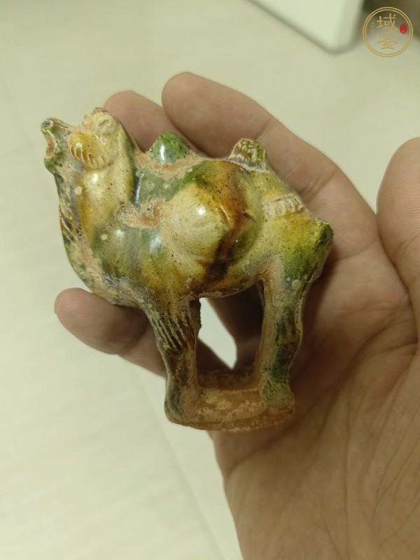 古玩陶瓷三彩駱駝?wù)嫫疯b賞圖
