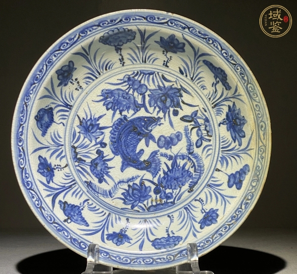 古玩陶瓷魚藻紋青花盤真品鑒賞圖