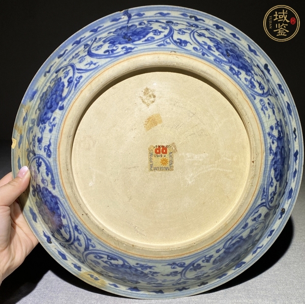 古玩陶瓷魚藻紋青花盤真品鑒賞圖