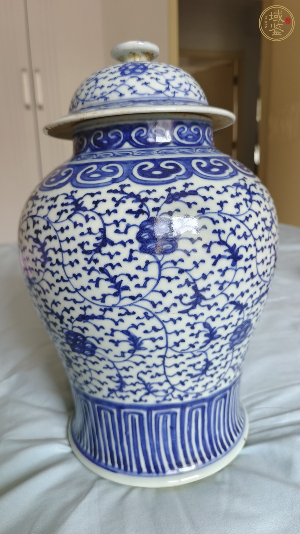 古玩陶瓷將軍罐真品鑒賞圖