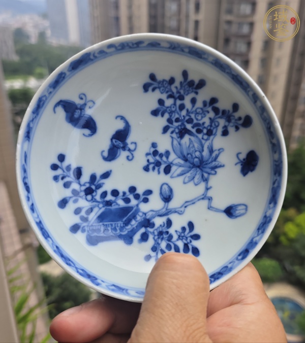 古玩陶瓷雍正青花杯碟真品鑒賞圖