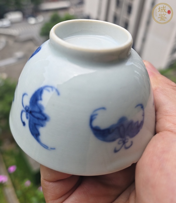 古玩陶瓷雍正青花杯碟真品鑒賞圖