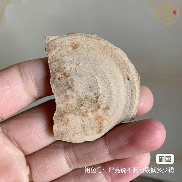 古玩陶瓷吉州臨江窯青花標(biāo)本真品鑒賞圖