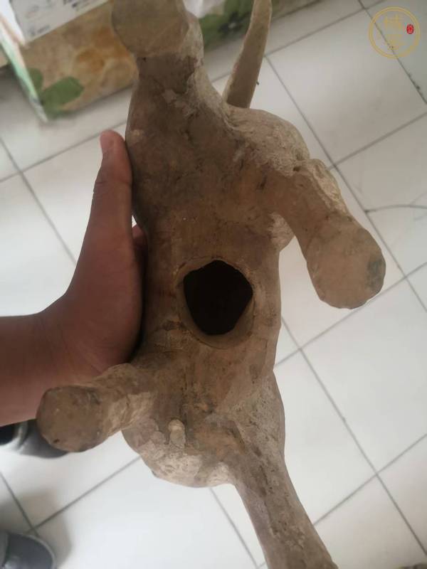 古玩雜項(xiàng)陶馬真品鑒賞圖