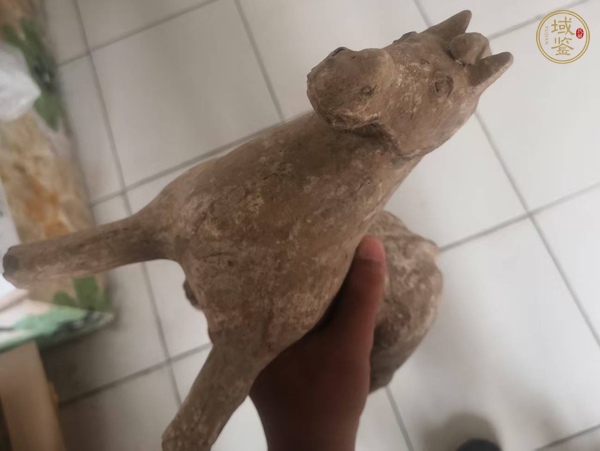 古玩雜項(xiàng)陶馬真品鑒賞圖
