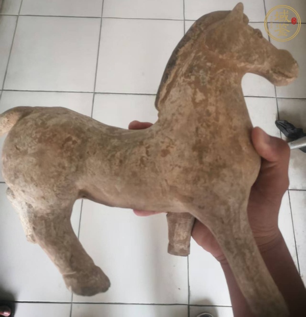 古玩雜項(xiàng)陶馬真品鑒賞圖