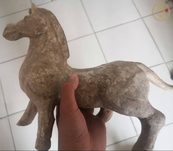 古玩雜項陶馬真品鑒賞圖