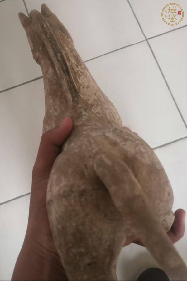 古玩雜項(xiàng)陶馬真品鑒賞圖