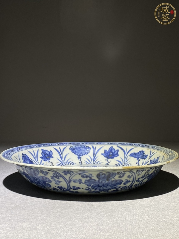 古玩陶瓷魚藻紋青花盤真品鑒賞圖
