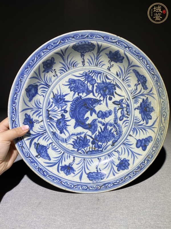 古玩陶瓷魚藻紋青花盤真品鑒賞圖