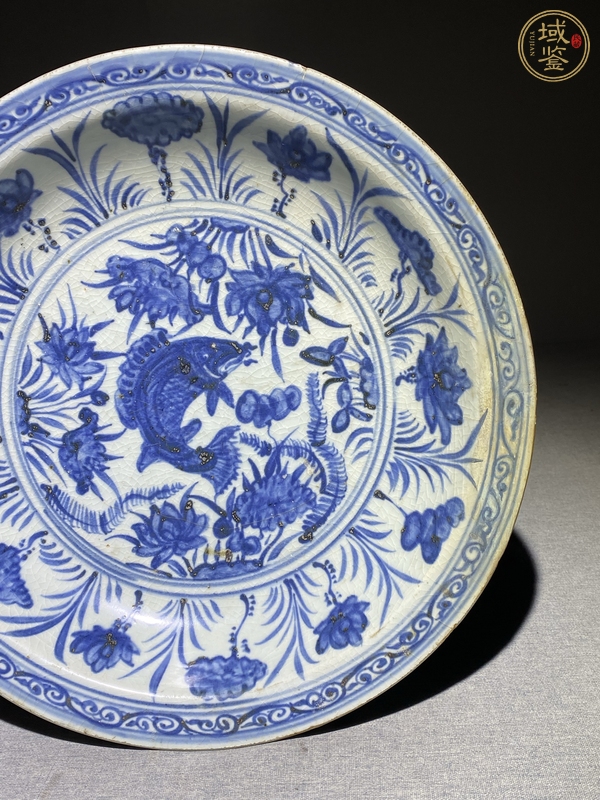 古玩陶瓷魚藻紋青花盤真品鑒賞圖