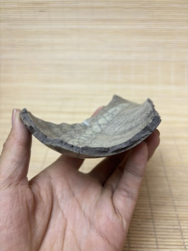 古玩陶瓷五大名窯之一哥窯【官】標本拍賣，當前價格2980元