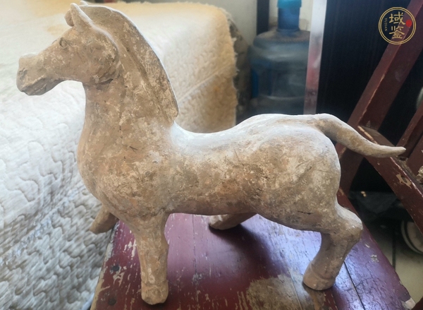 古玩陶馬真品鑒賞圖