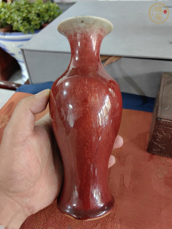 古玩陶瓷紅釉觀音瓶真品鑒賞圖
