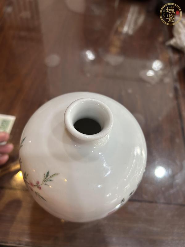 古玩陶瓷細(xì)犬圖梅瓶真品鑒賞圖