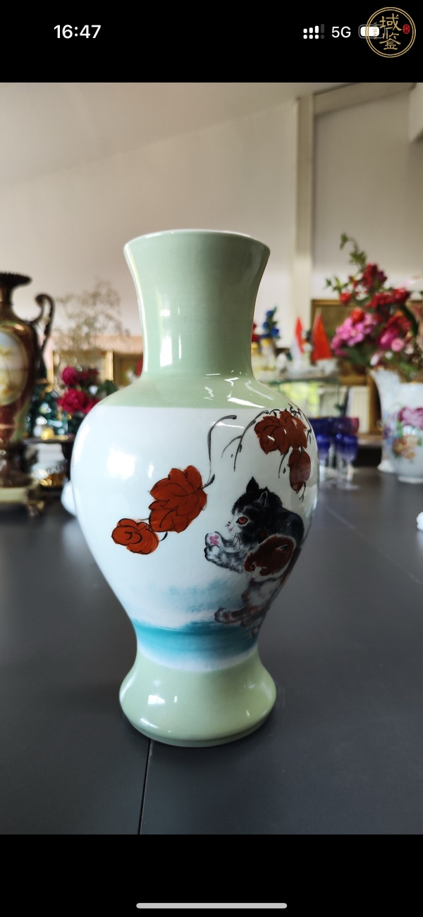 古玩陶瓷青釉粉彩畫貓觀音瓶真品鑒賞圖