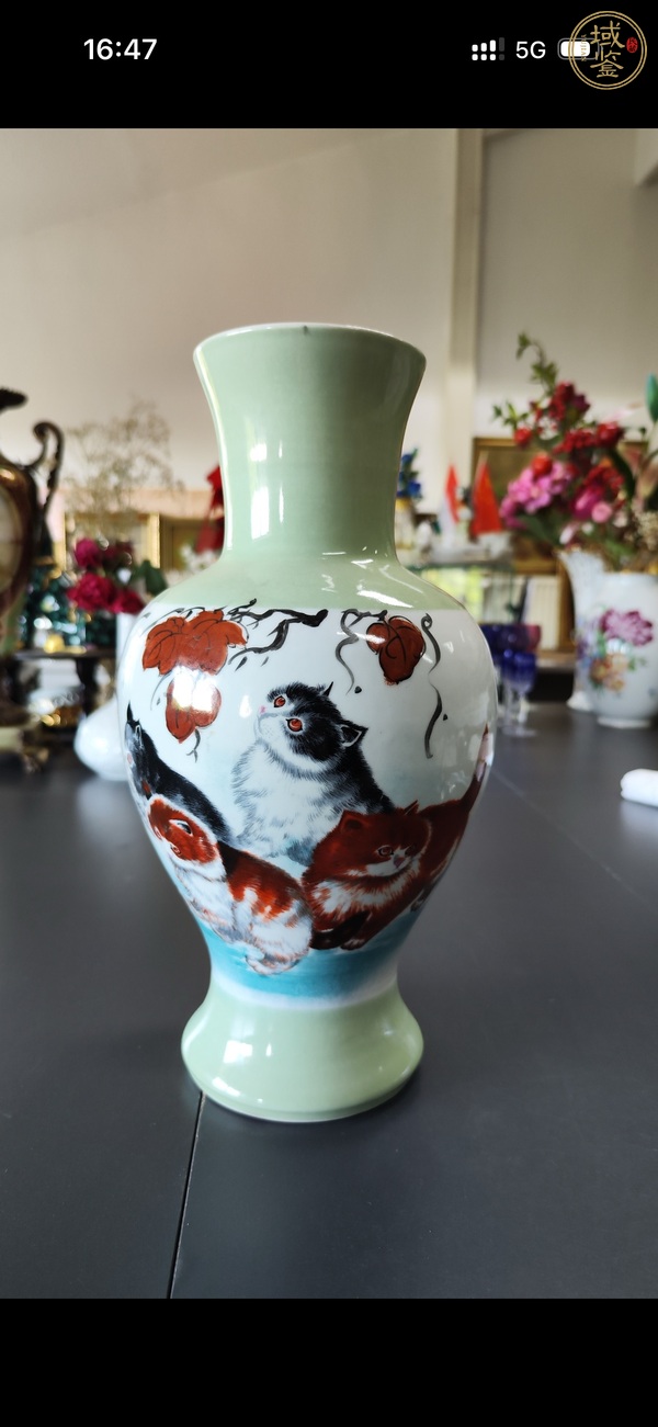 古玩陶瓷青釉粉彩畫貓觀音瓶真品鑒賞圖