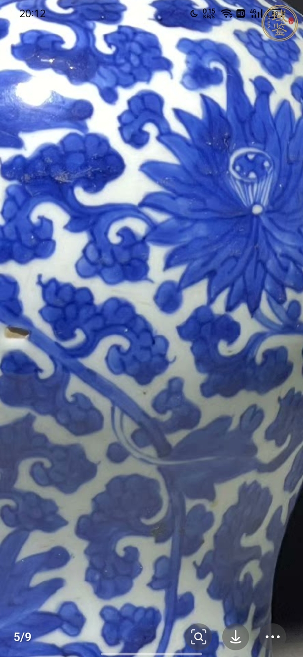 古玩陶瓷花卉青花鳳尾尊真品鑒賞圖