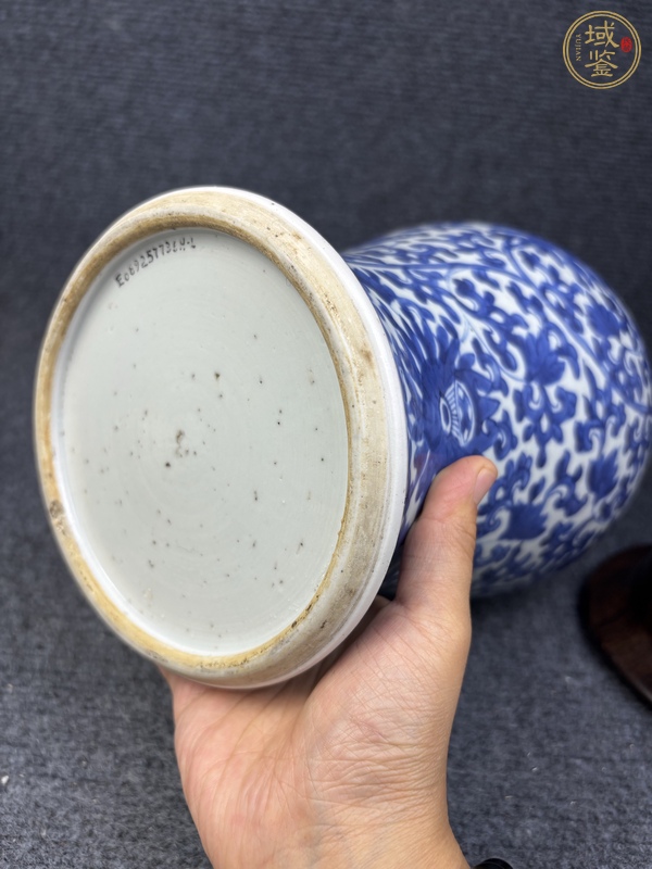 古玩陶瓷青花纏枝花卉紋半截鳳尾尊真品鑒賞圖