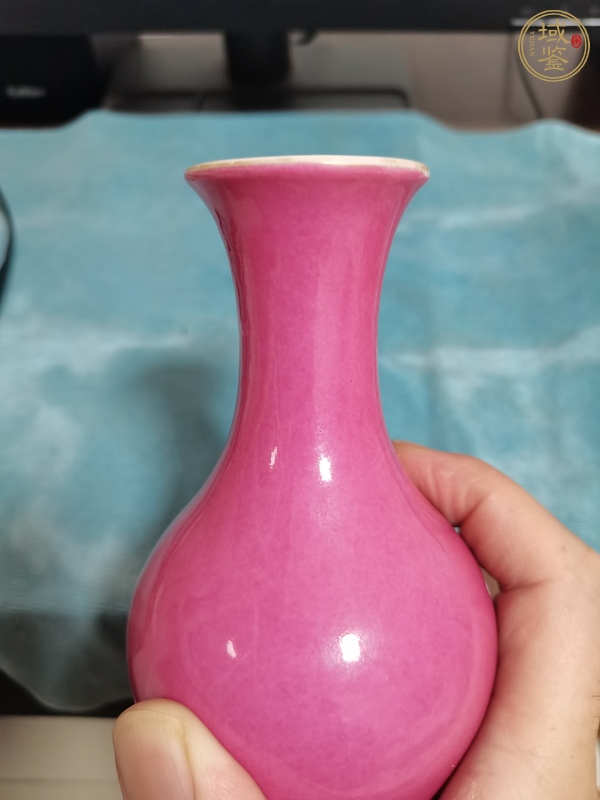 古玩陶瓷胭脂水釉觀音瓶真品鑒賞圖