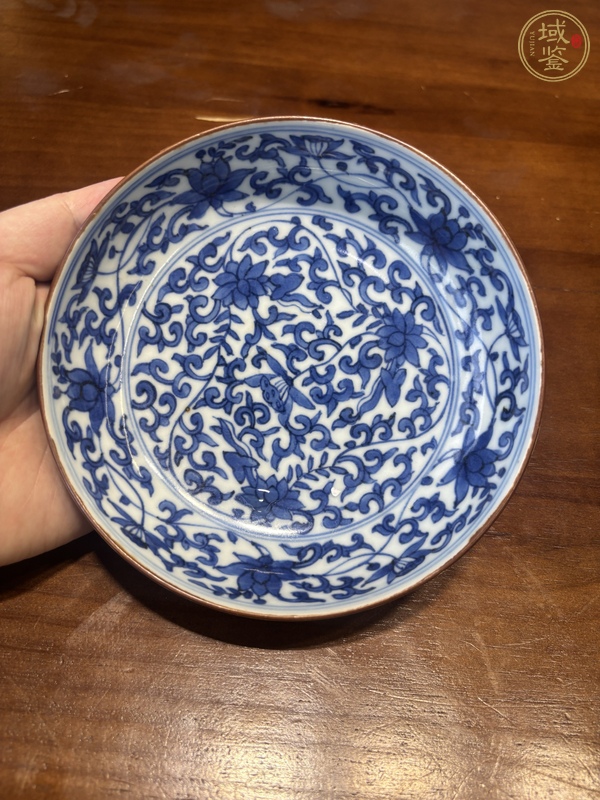 古玩陶瓷青花纏枝花卉紋盤真品鑒賞圖