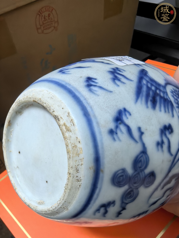 古玩陶瓷青花鳳紋罐真品鑒賞圖