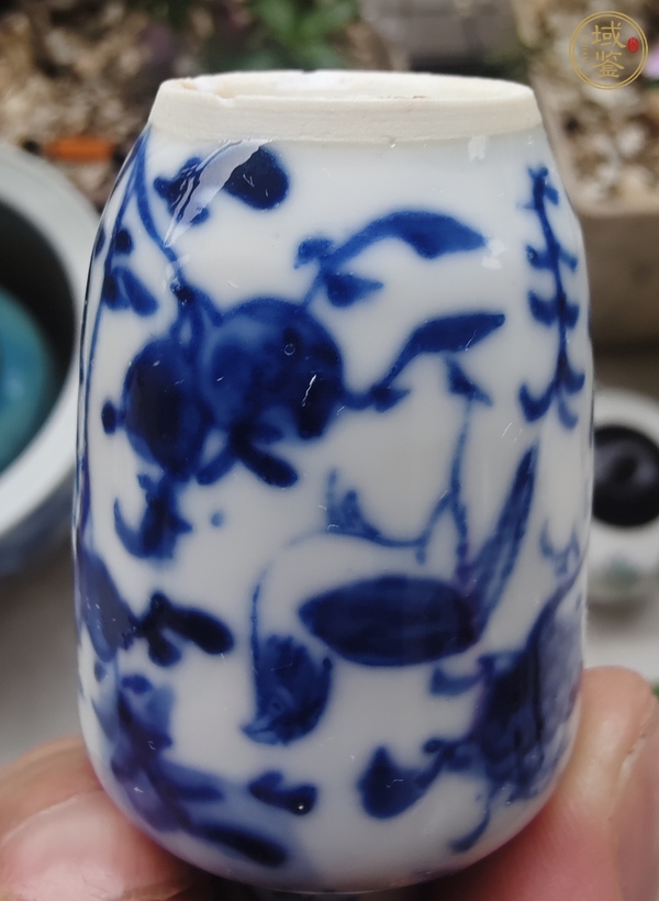 古玩陶瓷晚清青花花鳥瓶真品鑒賞圖
