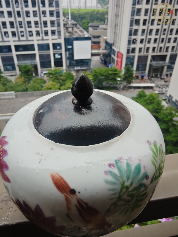 古玩陶瓷粉彩花鳥蓋罐真品鑒賞圖